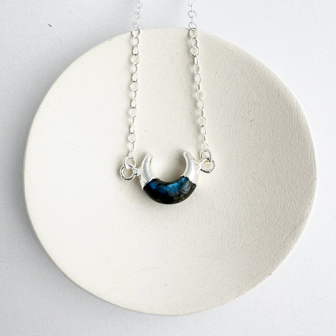 Small Labradorite Horn Necklace
