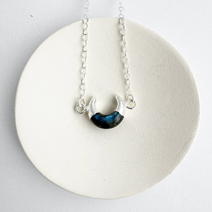 Small Labradorite Horn Necklace