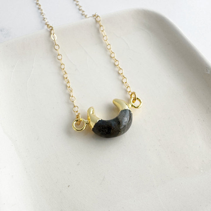Small Labradorite Horn Necklace