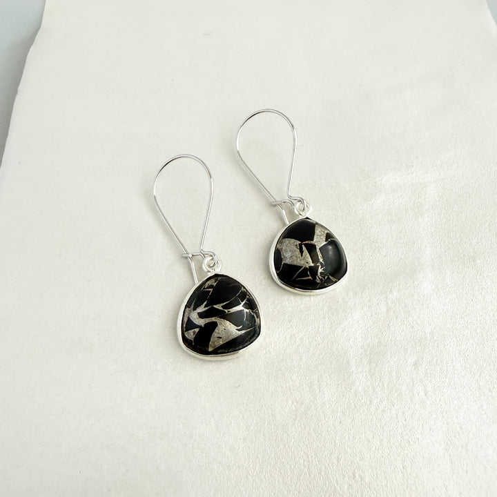Black Mojave Rounded Triangle Drop Earrings